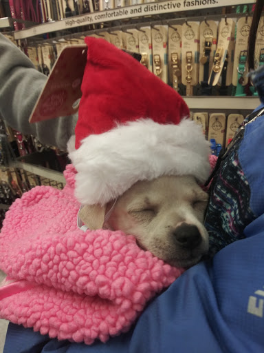 Pet Supply Store «Petco Animal Supplies», reviews and photos, 1660 Orchard Gateway Blvd, North Aurora, IL 60542, USA