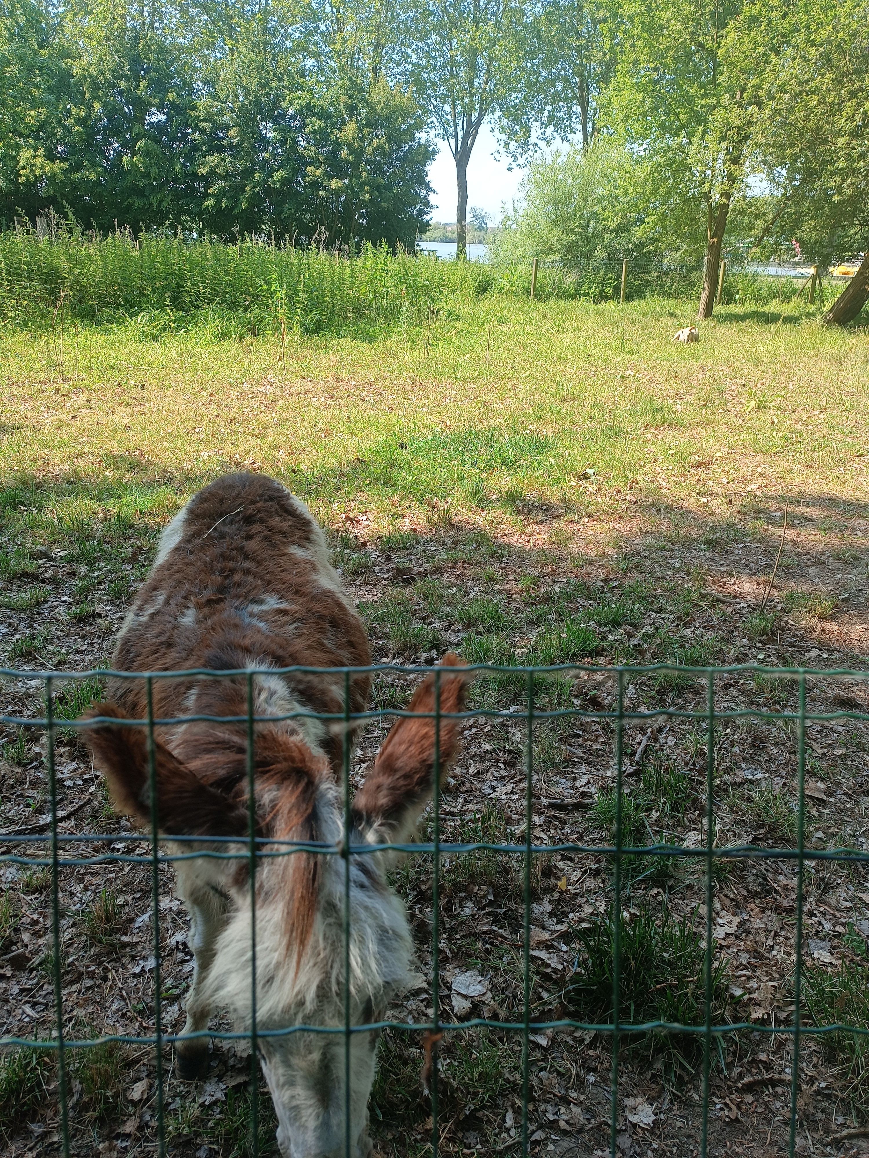 Photo n° 9 de l'avis de Bérénice.' fait le 03/07/2022 à 21:47