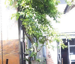 Senjadibali Coffee & Garden photo