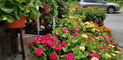 Grocery Store «Red Top Farm Market», reviews and photos, 1801 NJ-70, Southampton Township, NJ 08088, USA