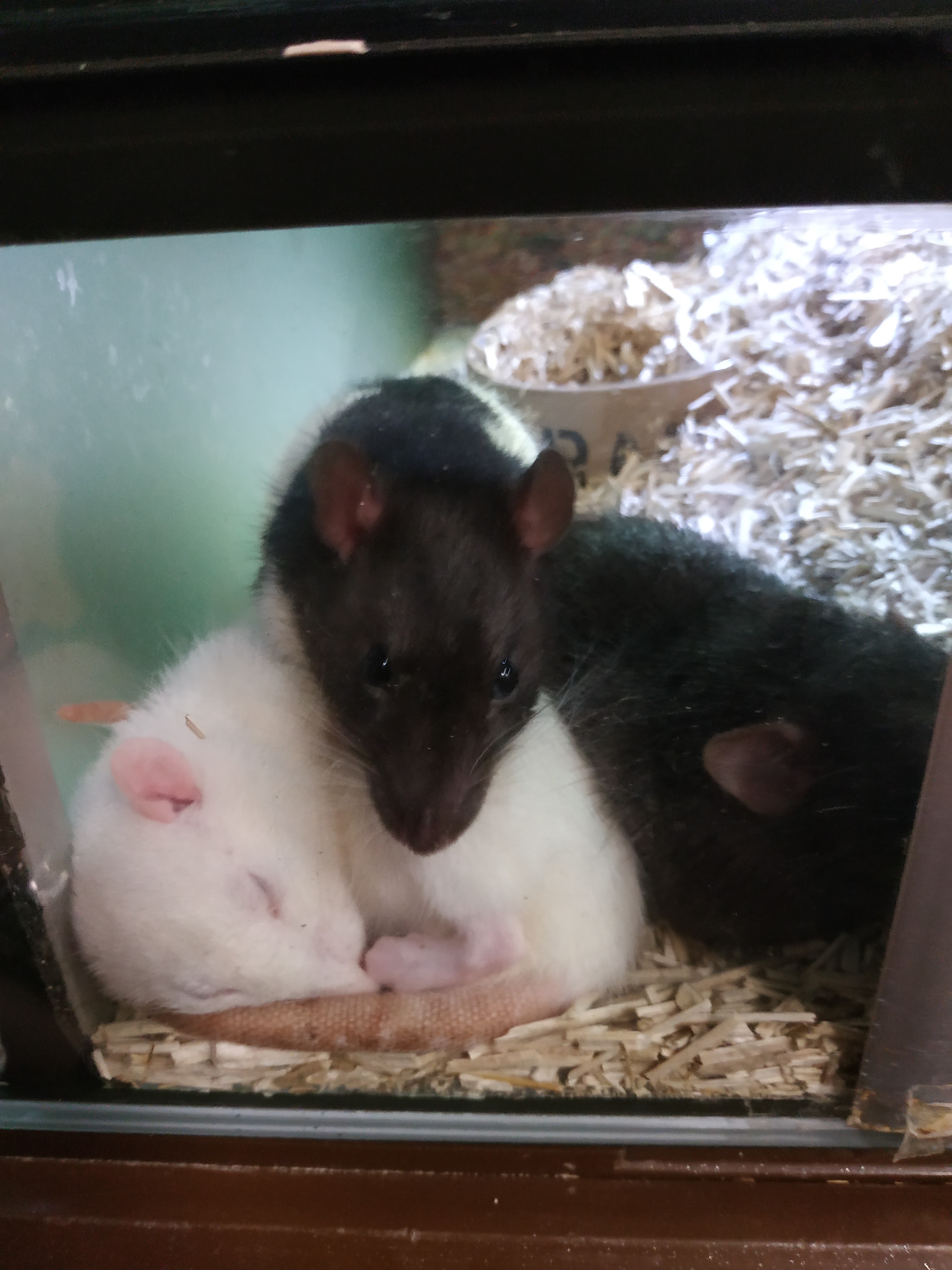 Photo n° 12 de l'avis de Jessy.e fait le 25/08/2018 à 16:56