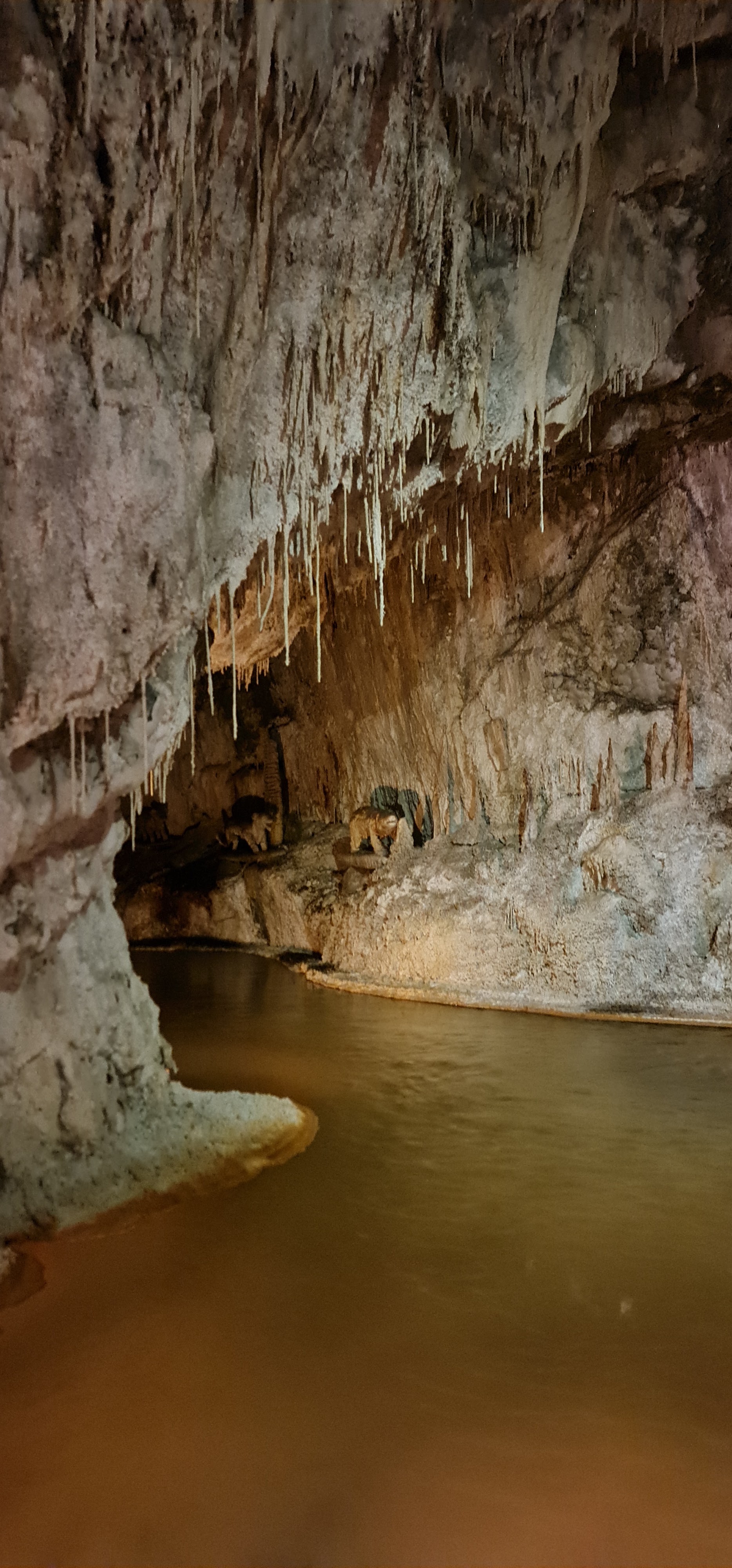 Photo n° 13 de l'avis de olivier.u fait le 28/02/2022 à 17:10