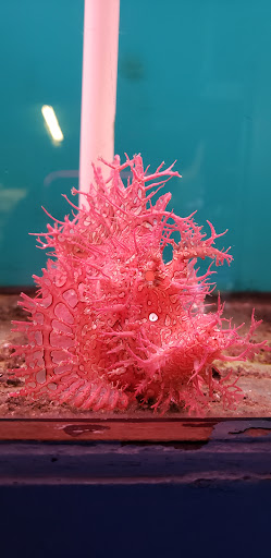 Pet Supply Store «Monrovia Tropical Fish», reviews and photos, 603 W Huntington Dr, Monrovia, CA 91016, USA