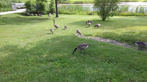 Nature Preserve «Greenbelt Forest Preserve», reviews and photos, 1110 S Green Bay Rd, North Chicago, IL 60035, USA