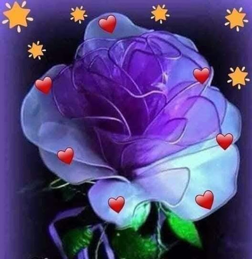 Jeweler «Jewelry Plaza», reviews and photos, 4711 Airline Dr, Houston, TX 77022, USA