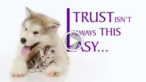 Jewelry Store «Mc Kenzie & Smiley Jewelers», reviews and photos, 2321 Madison St, Clarksville, TN 37043, USA