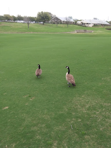 Golf Course «Texas Star Golf Course», reviews and photos, 1400 Texas Star Pkwy, Euless, TX 76040, USA