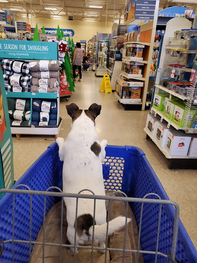 PetSmart