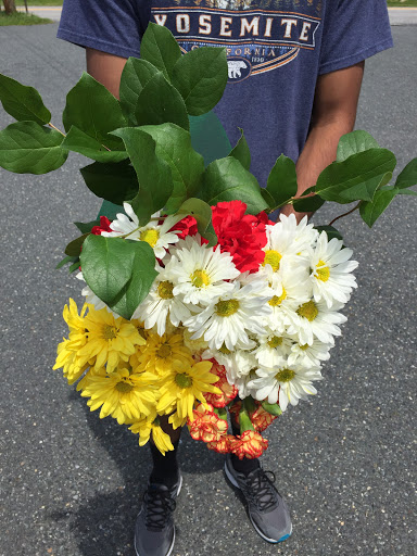 Perry Hall Florists Inc, 4401 E Joppa Rd, Perry Hall, MD 21128, USA, 