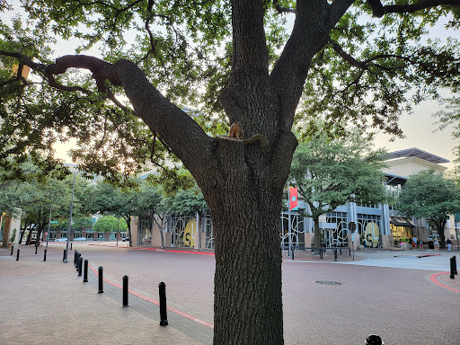 Shopping Mall «The Shops at Legacy», reviews and photos, 5741 Legacy Dr, Plano, TX 75024, USA