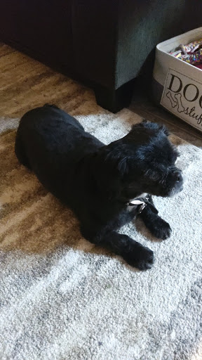 Pet Supply Store «PetSmart», reviews and photos, 261 Spreckels Ave, Manteca, CA 95336, USA