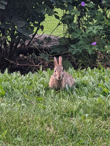 Country Club «Walpole Country Club», reviews and photos, 233 Baker St, Walpole, MA 02081, USA