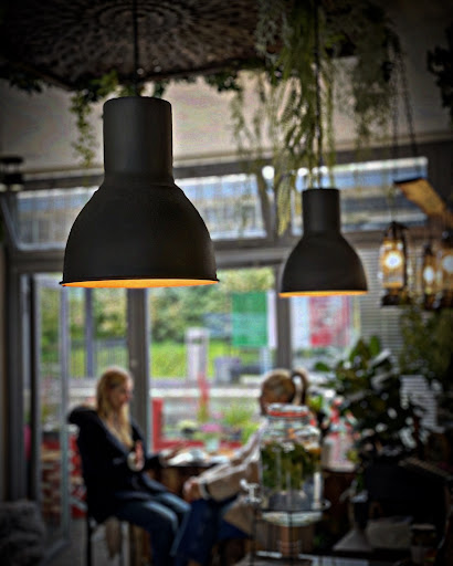 site_photo4