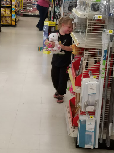 Discount Store «Dollar General», reviews and photos, 933 Westview Dr, Rock Valley, IA 51247, USA