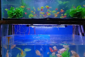 Kapoor Aquarium image