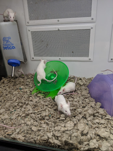 Pet Supply Store «Petco Animal Supplies», reviews and photos, 2005 Dr Martin Luther King Jr Pkwy, Chico, CA 95928, USA