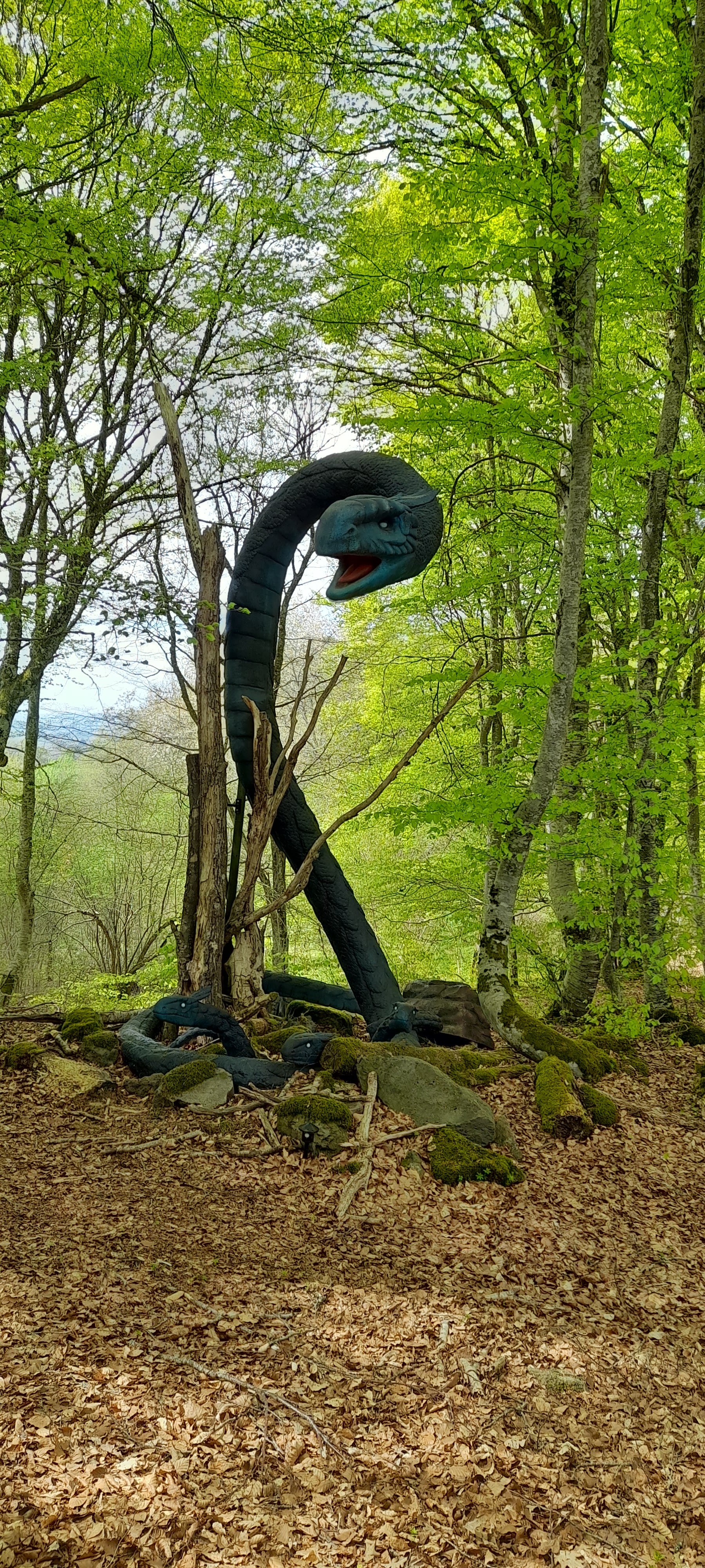 Photo n° 6 de l'avis de Angeeelique.o fait le 07/05/2023 à 13:45