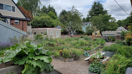 Roosevelt P-Patch Community Garden