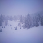 Photo n°1 de l'avis de Paolo.o fait le 01/01/2022 à 08:32 sur le  Bar Spaghetteria “Da Nardi” - Oisguit sas di Kratten Marco & C. à Sappada