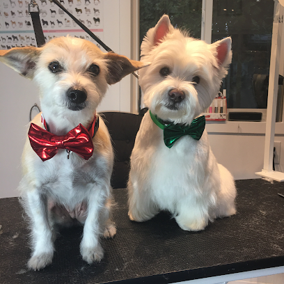 Doggy Style to PURRfection Dog and Cat Grooming Langley