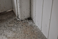 Always Ready Pest Control of Brooklyn - Photo 3 - Car repair in , New York