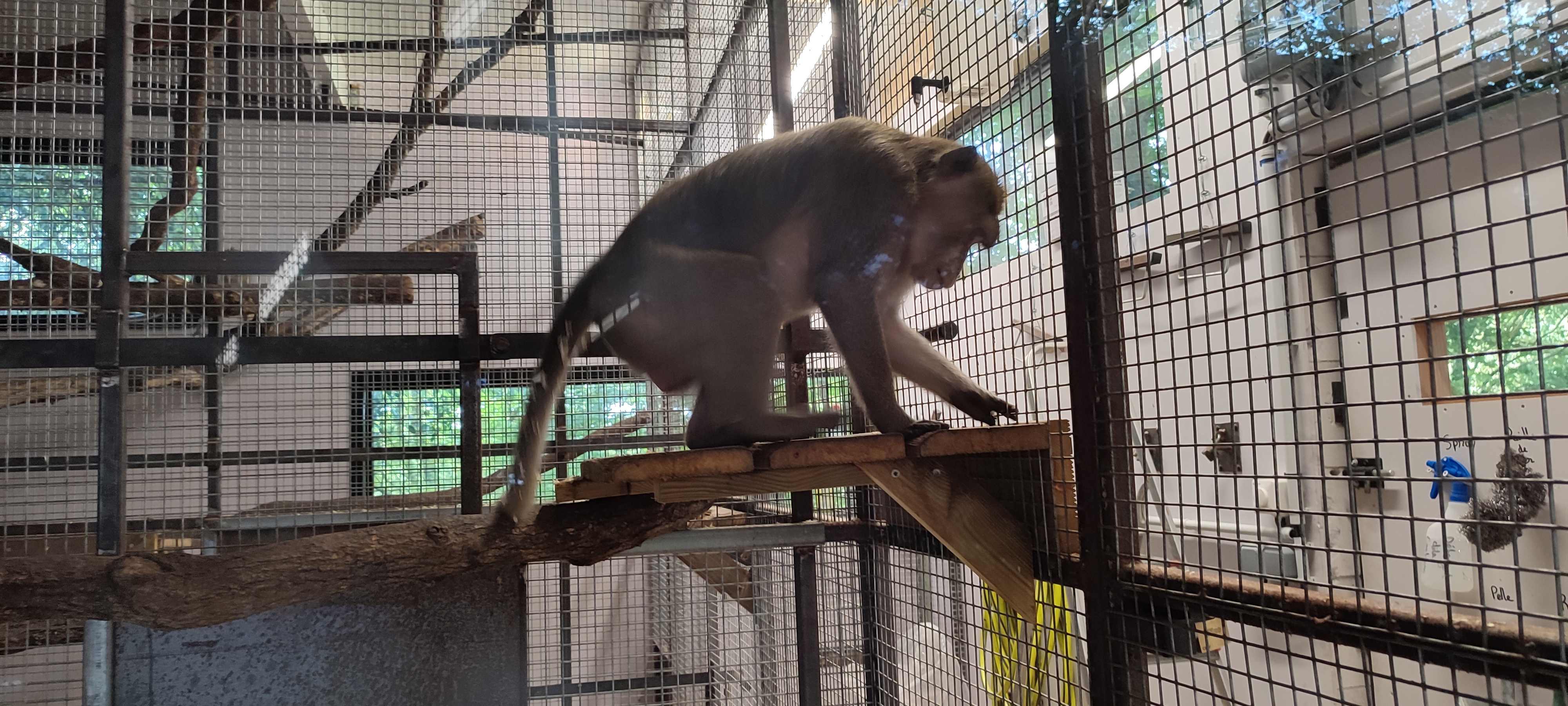 Photo n° 10 de l'avis de Jérémy.a fait le 22/07/2023 à 17:03
