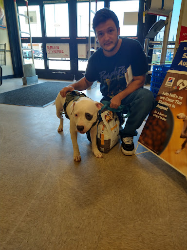 Pet Supply Store «PetSmart», reviews and photos, 849 E 23rd St, Panama City, FL 32405, USA