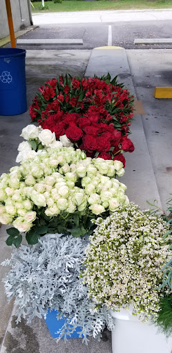 Florist «Apple Blossoms Floral Designs», reviews and photos, 3625 W Kennedy Blvd, Tampa, FL 33609, USA