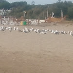 Photo n°16 de l'avis de teodora.i fait le 24/09/2023 à 09:56 sur le  Hotel Sogaris Paestum à Paestum