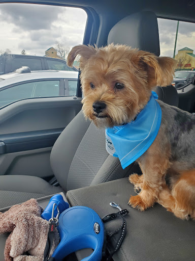 Pet Supply Store «PetSmart», reviews and photos, 540 New York Ave, Lyndhurst, NJ 07071, USA