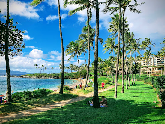 Kapalua Koyu Plajı