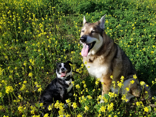 Pet Supply Store «Pet Food Express», reviews and photos, 5829 Lone Tree Way, Antioch, CA 94531, USA