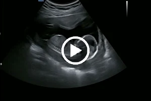 First Impressions Ultrasound Studio LLC image