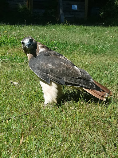 Tourist Attraction «Connecticut Audubon Center», reviews and photos, 1361 Main St, Glastonbury, CT 06033, USA