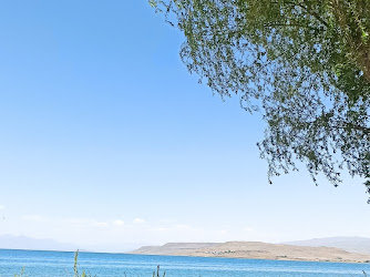 Halkalı Köyü Muhtarlığı