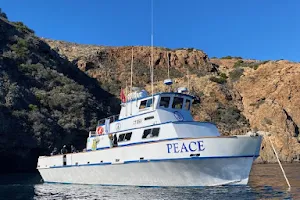Peace Dive Boat image