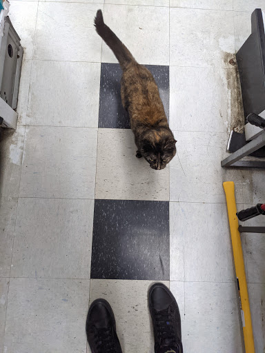 Hardware Store «Broadway Lumber Supplies», reviews and photos, 1146 Myrtle Ave, Brooklyn, NY 11206, USA