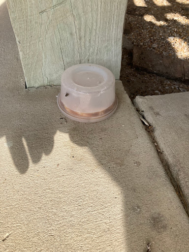 Real Estate Agency «Outer Beaches Realty», reviews and photos, 40227 Tigrone Blvd, Avon, NC 27915, USA