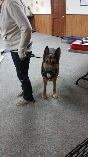 Pet Supply Store «All Pet & Equine Supply», reviews and photos, 1120 Porter Wagoner Blvd, West Plains, MO 65775, USA