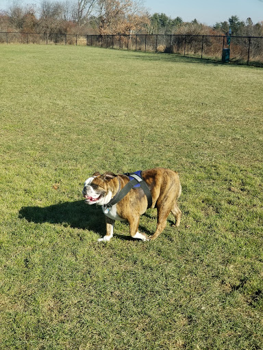 Park «Maple Hill Dog Park», reviews and photos, 390 County Rd 78, Middletown, NY 10940, USA