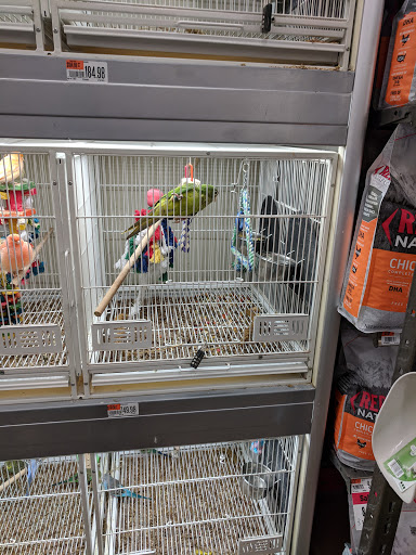 Pet Supply Store «Pet Supplies Plus», reviews and photos, 7954 Brewerton Rd #400, Cicero, NY 13039, USA