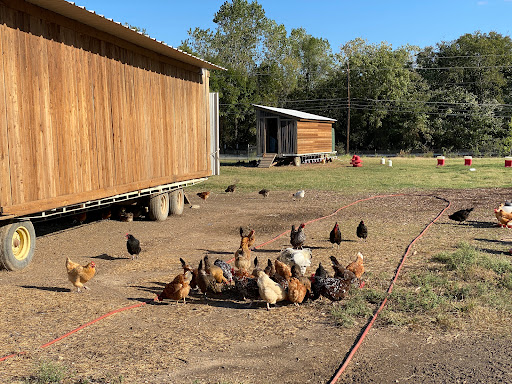 Bonton Farms Extension