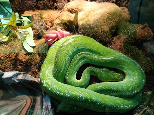 Pet Store «Incredible Pets Inc», reviews and photos, 2255 N Wickham Rd # 102, Melbourne, FL 32935, USA