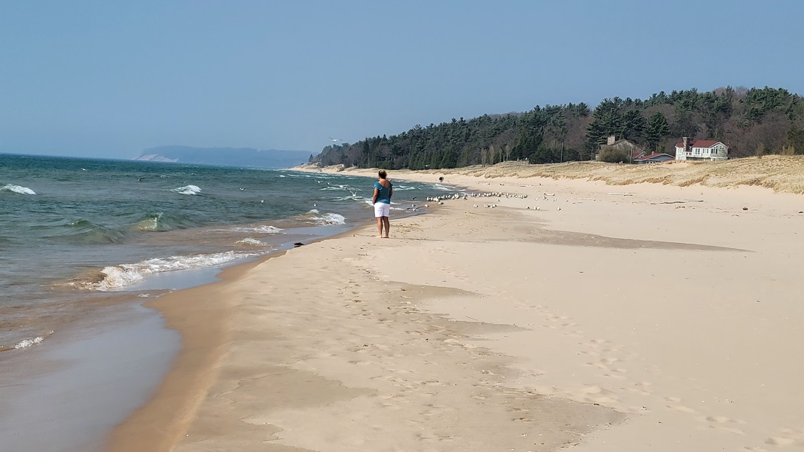 Captain John Langland Park Beach photo #7