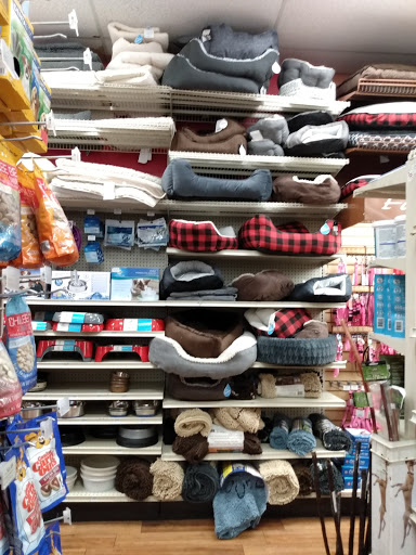 Pet Supply Store «Pet Supermarket», reviews and photos, 1800 W 68th St #140, Hialeah, FL 33014, USA