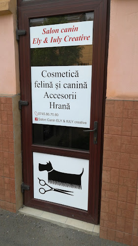 Salon canin Ely & Iuly Creative - <nil>