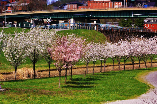 Tourist Attraction «Canal Place», reviews and photos, 13 Canal St, Cumberland, MD 21502, USA