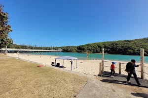 Tallebudgera Creek Park image