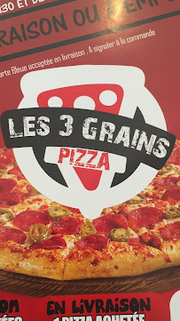 Pizza du Pizzeria les 3 grains à Torcy - n°2