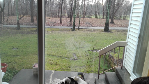 Golf Course «Pine Brook Golf Course», reviews and photos, 1 Covered Bridge Blvd, Manalapan Township, NJ 07726, USA